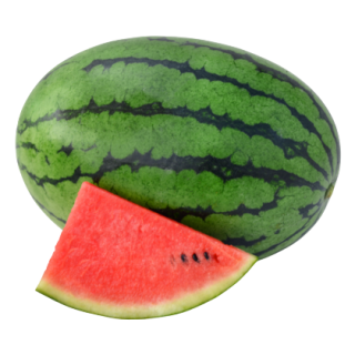Sharayu Watermelon From Known You Seed (India)-KYI